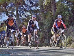 Menorial León Sanchez
